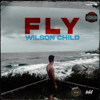 Fly by Wilson Child