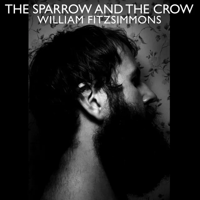 I Don't Feel It Anymore (Song of the Sparrow)