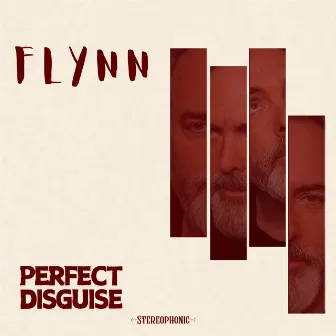 Perfect Disguise by Flynn