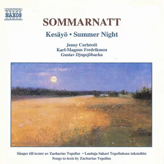 Sommarnatt by Jenny Carlstedt