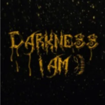 Whats happiness by Darkness I am