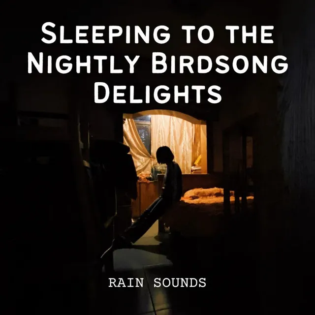 Rain Sounds: Sleeping to the Nightly Birdsong Delights