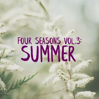 Four Seasons, Vol​.​ 3: Summer by Iivo