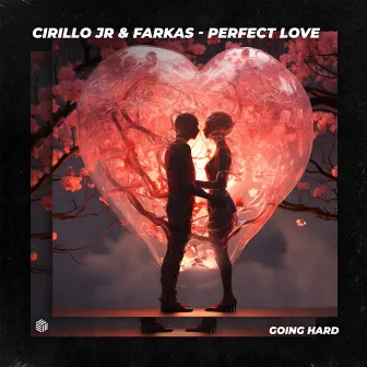 Perfect Love by Cirillo Jr