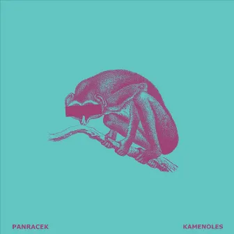 Kamenoles by Panracek