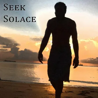 Seek Solace by Saladin Allah