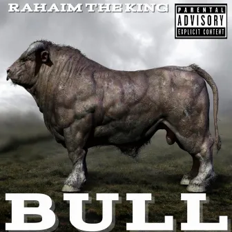 Bull by Rahaim the King