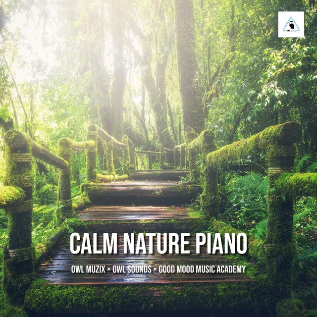 Calm Nature Piano - Relaxing Music