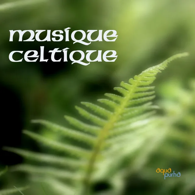 Musique Celtique Ensemble