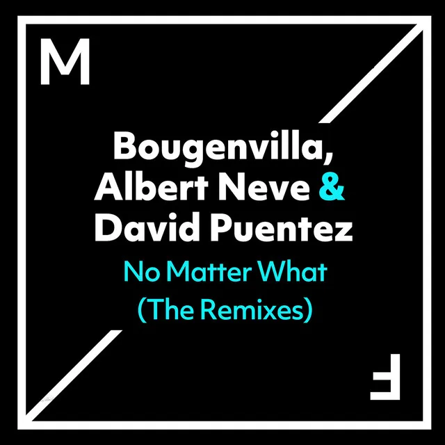 No Matter What - VIP Mix