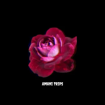 Purple Rose by Amani Trips