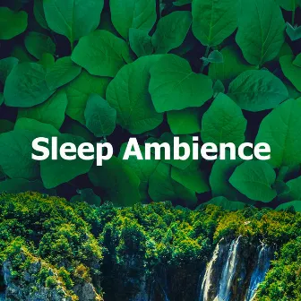 Sleep Ambience by 8k Sound Library