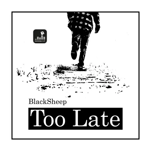 Too Late (Black Soul Mix)