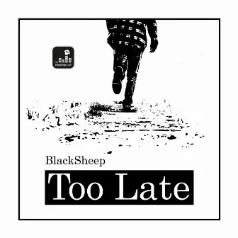 Too Late (Black Soul Mix) by BlackSheep