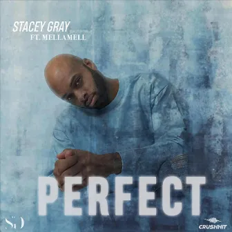 Perfect by Stacey Gray