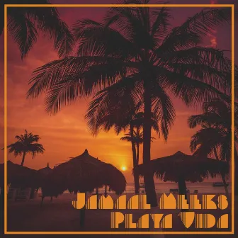 Playa Vida by Jamaal Meeks