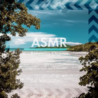 ASMR: Relaxing Ocean by Riding the Waves