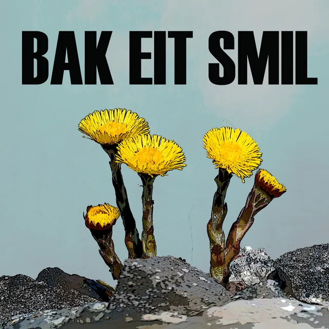 Bak Eit Smil