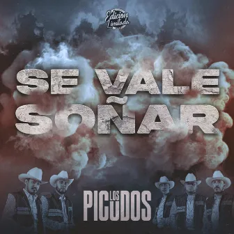 Se Vale soñar by Los Picudos