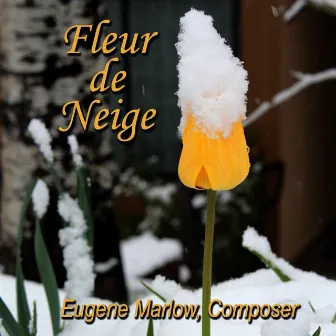 Fleur De Neige (Snowflower) [Live] by Eugene Marlow