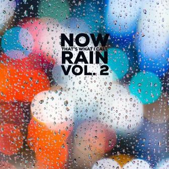 Volume 2 by Now That’s What I Call Rain