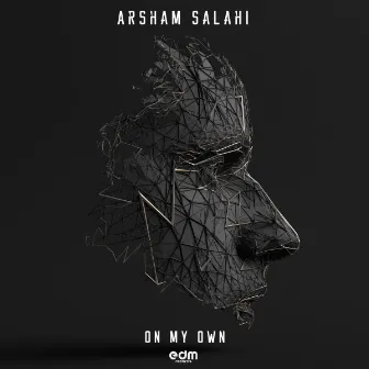 On My Own by Arsham Salahi