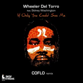 If Only You Could See Me (Coflo Remix) by Wheeler del Torro