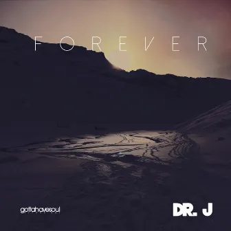 Forever by Dr. J