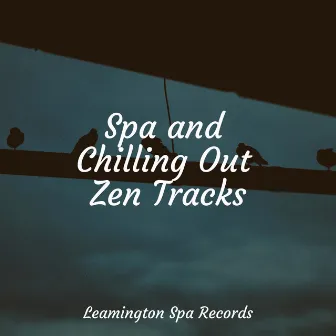 Spa and Chilling Out Zen Tracks by Academia de Relaxamento e Meditação