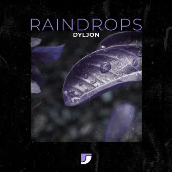 Raindrops by Dyljon