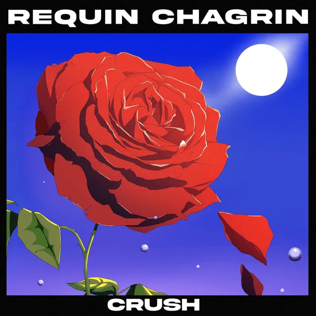 Crush (feat. Anaïs Demoustier)