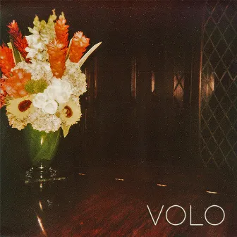 Volo EP by Volo