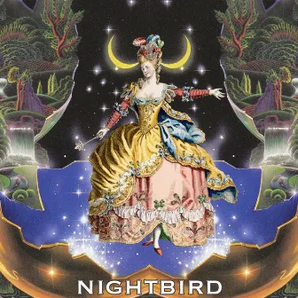 Nightbird by Alex Lilly