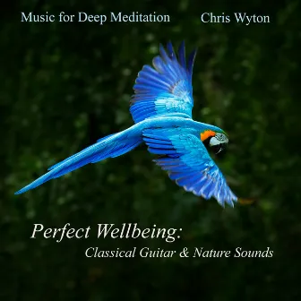 Perfect Wellbeing: Classical Guitar & Nature Sounds by Chris Wyton