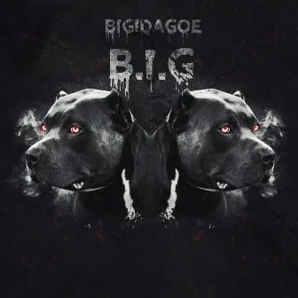 B.I.G by Bigidagoe