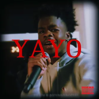 YAYO by L.U.H. YAYMAN