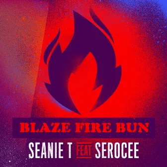 Blaze Fire Bun by Seanie T