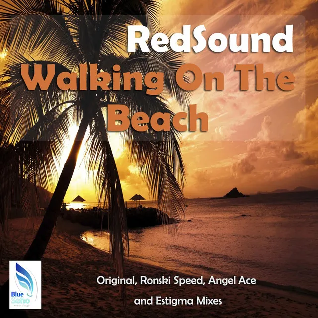 Walking On The Beach - Ronski Speed Remix