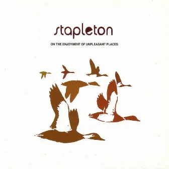 On The Enjoyment Of Unpleasant Places Plus The Icy You E.P by Stapleton