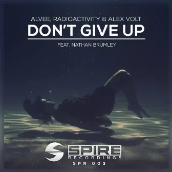 Don't Give Up by Alvee