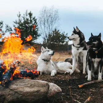 Fireside Companions: A Harmonious Ambient Soundscape for Pets by Calm Harmony