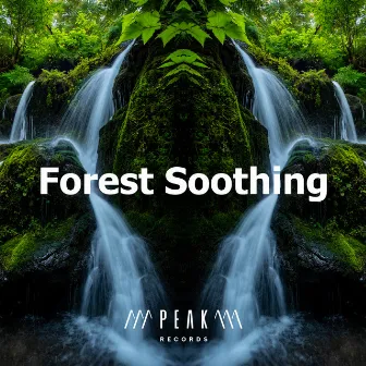 Forest Soothing by Forest Treasures