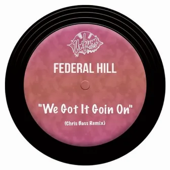 We Got It Goin On (Chris Bass Remix) by Federal Hill