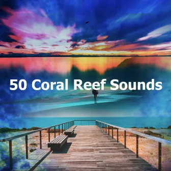 50 Coral Reef Sounds by Sounds Of The Sea