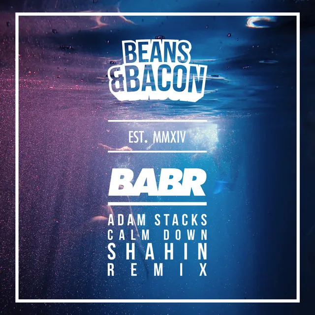 Calm Down - Shahin Remix