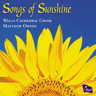 Songs of Sunshine by Matthew Owens