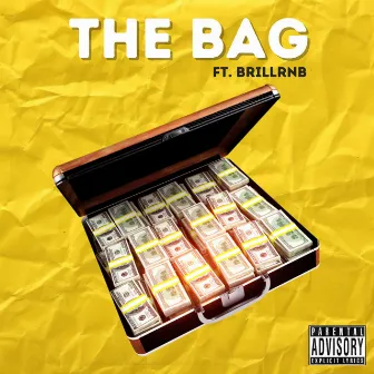 The Bag by Aaron Goode