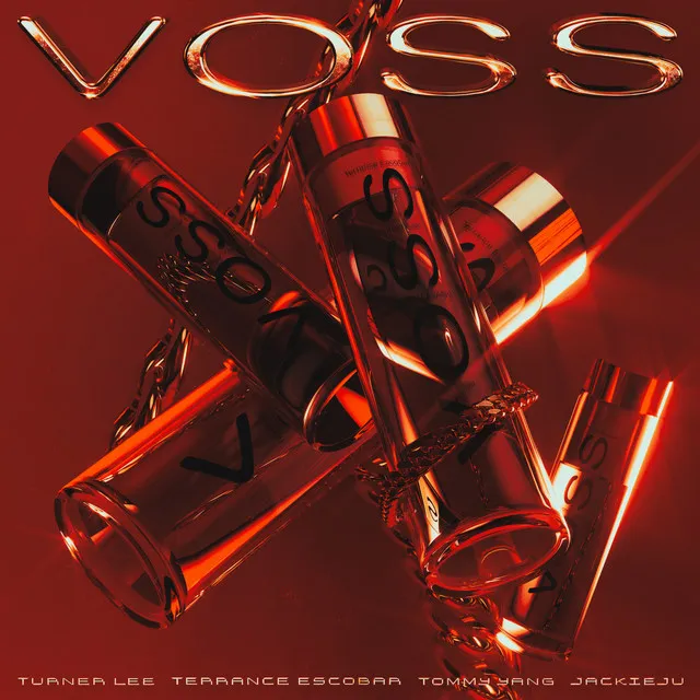 VOSS (feat. TOMMY YANG, Terrance Escobar & Jackieju) (prod. Turner Lee)