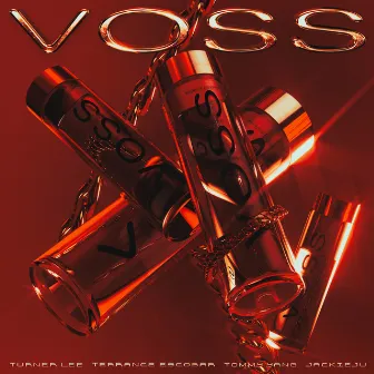 VOSS by Turner Lee