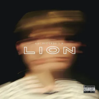 Lion by Unknown Artist